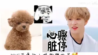 Download Video: 【NCT dream丨reaction】内娱路人看CP向，脑瓜子嗡嗡的~是我没见过世面