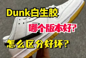 Descargar video: 干货分享 Dunk白生胶 全细节测评 怎么区分好与坏？ 萌新避坑指南！