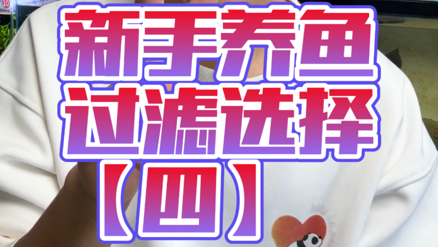 手把手教养鱼【第四节】新手过滤器的选择!明白什么是好过滤的标准就知道过滤该如何选了。#新手养鱼 #鱼缸过滤 #鱼缸过滤器推荐
