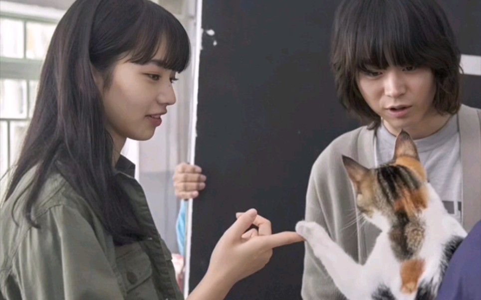 菅田将晖小松菜奈般配夫妇苏打nana