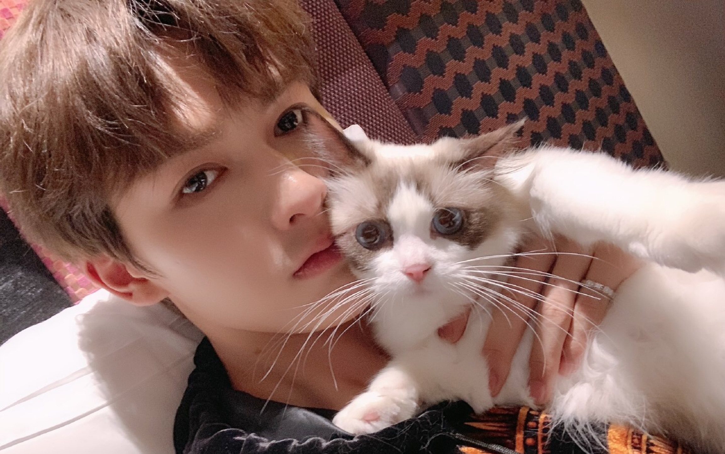 露易丝】朱正廷,你还记得你猫毛过敏吗?