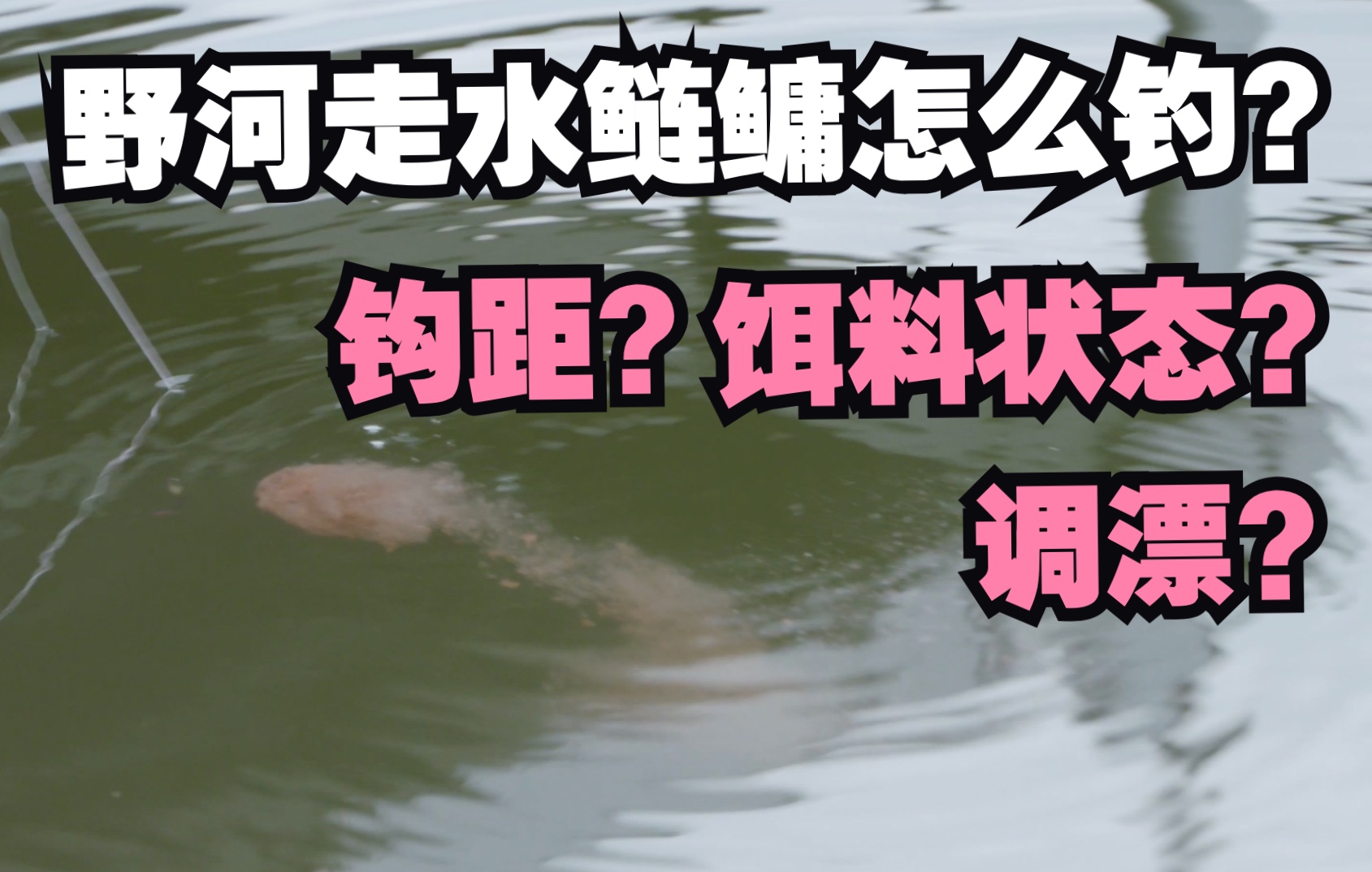 【野钓鲢鳙】野河走水鲢鳙怎么钓?小猪一样的大胖头!崔哥三钓九华河,分享作钓经验和心得.哔哩哔哩bilibili