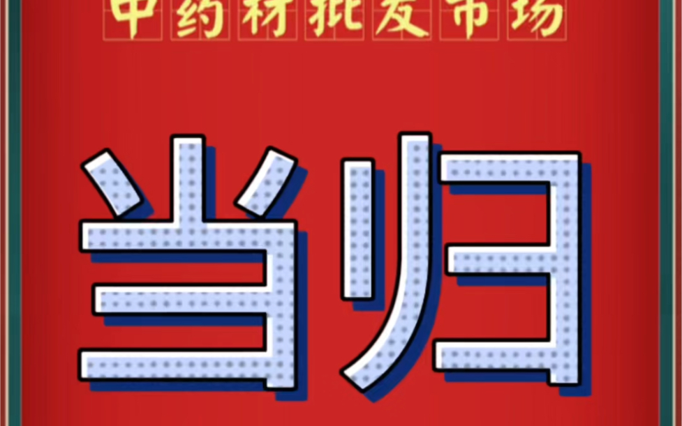 中药材批发市场当归行情报道哔哩哔哩bilibili