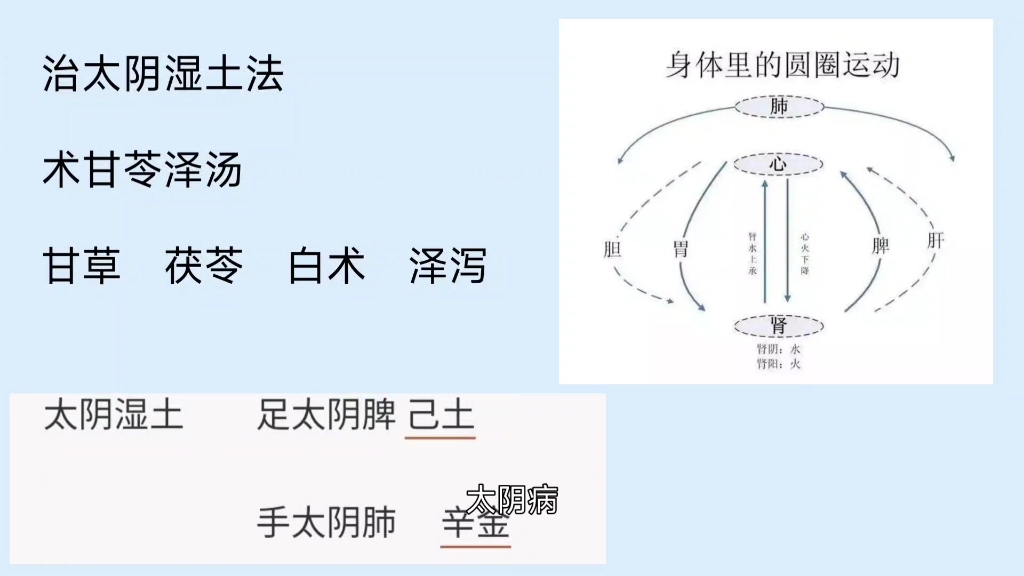 [图]黄元御到底是不是扶阳派，他把人体所有疾病归纳出六个药方，有什么意义。