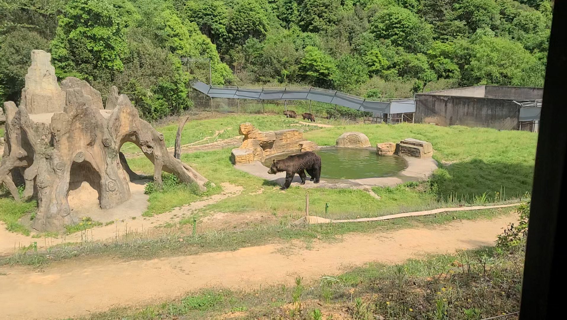 三星s20u拍杭州野生動物園重製版