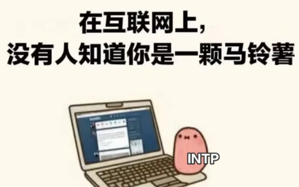 INTPの刻板印象哔哩哔哩bilibili