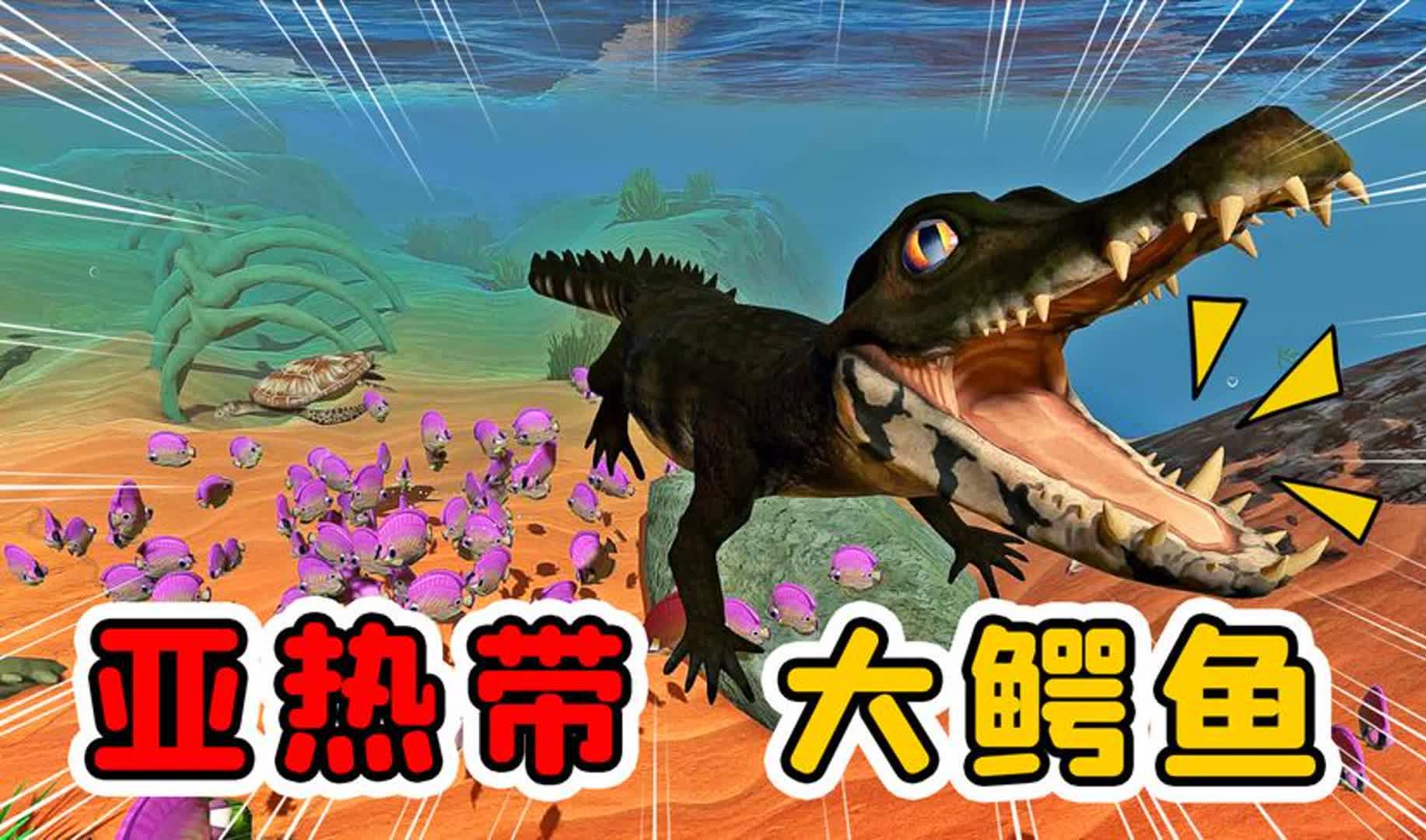 海底大猎杀:鳄鱼亲眼目睹海龟秀恩爱,还被它们甩上了天