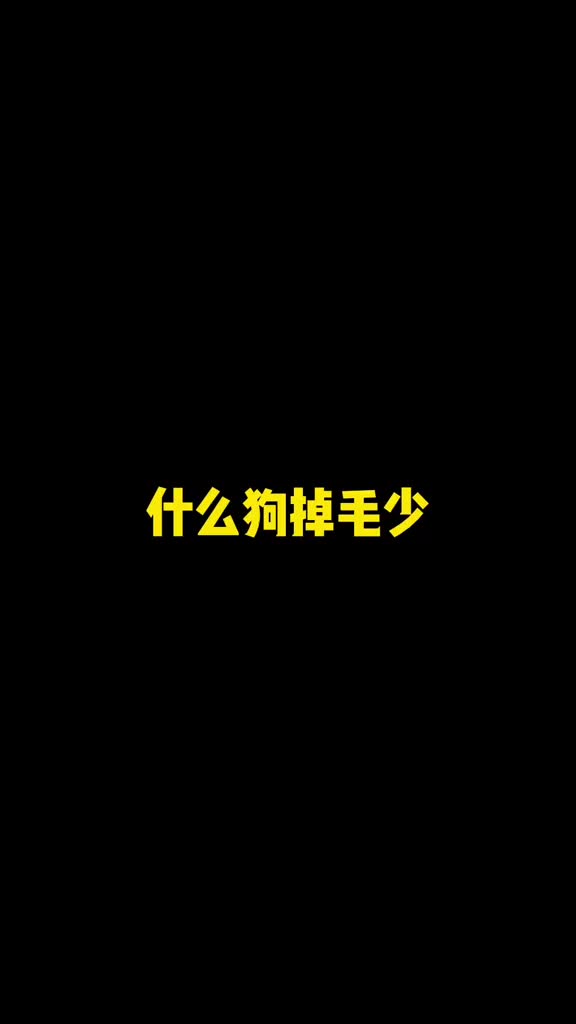 这些不掉毛的狗你们喜欢哪个?哔哩哔哩bilibili