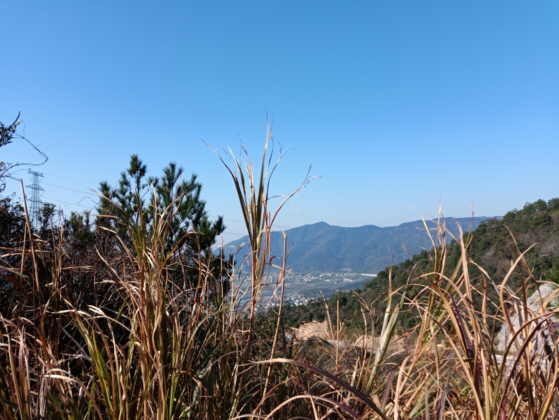 舟山五雷寺图片