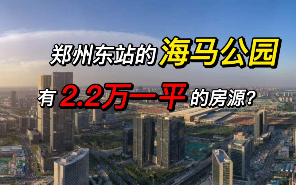 郑州东站的海马公园,有2.2万一平的房源?哔哩哔哩bilibili