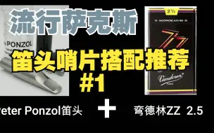 Tải video: 【萨克斯装备配置#1】笛头哨片配置推荐分享，温暖明亮有磁性的音色  类michael lington麦克林顿