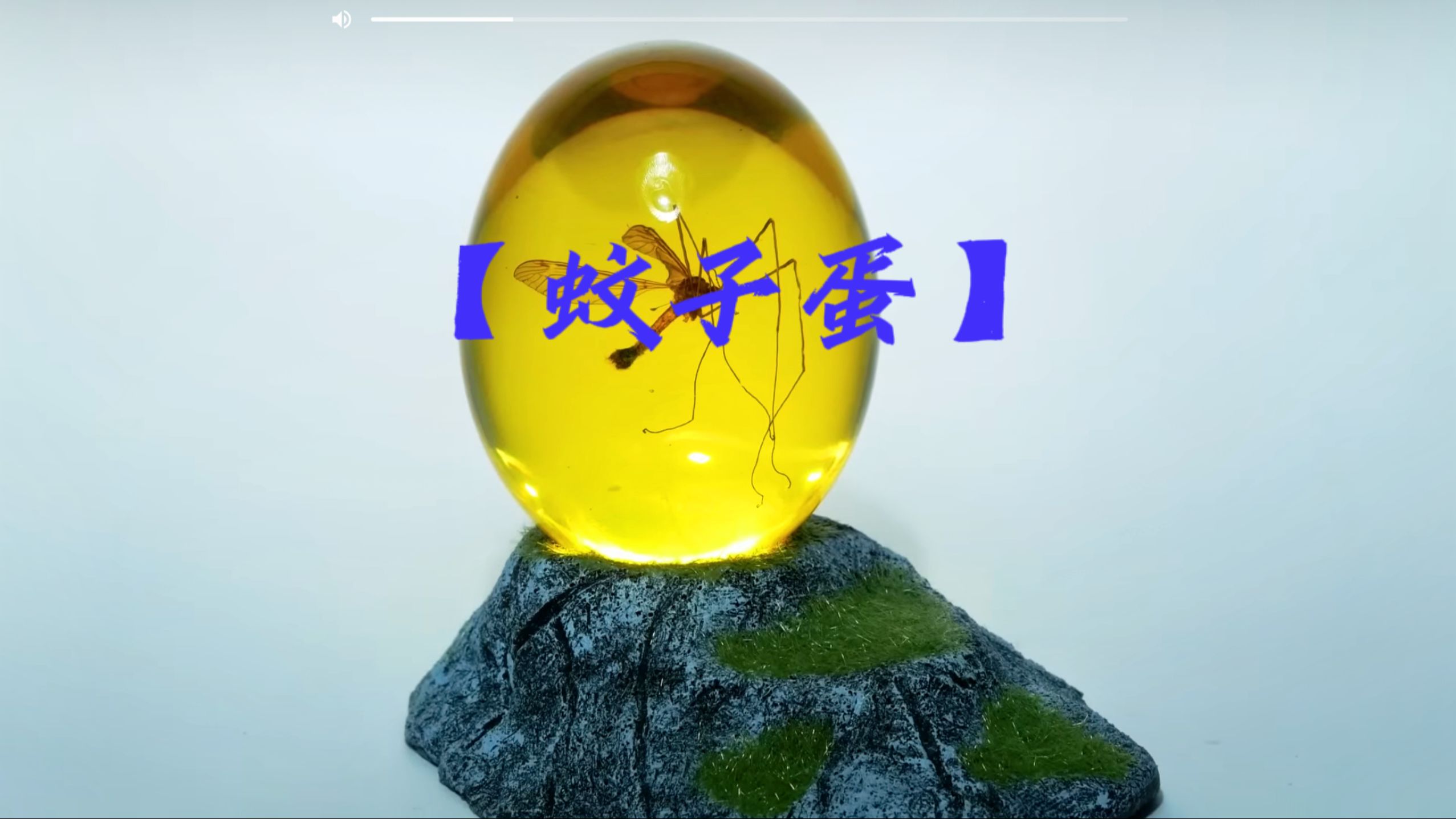 小伙艺术创作折服面试官月薪翻番,一只蚊子和一颗鸡蛋等于蚊子蛋