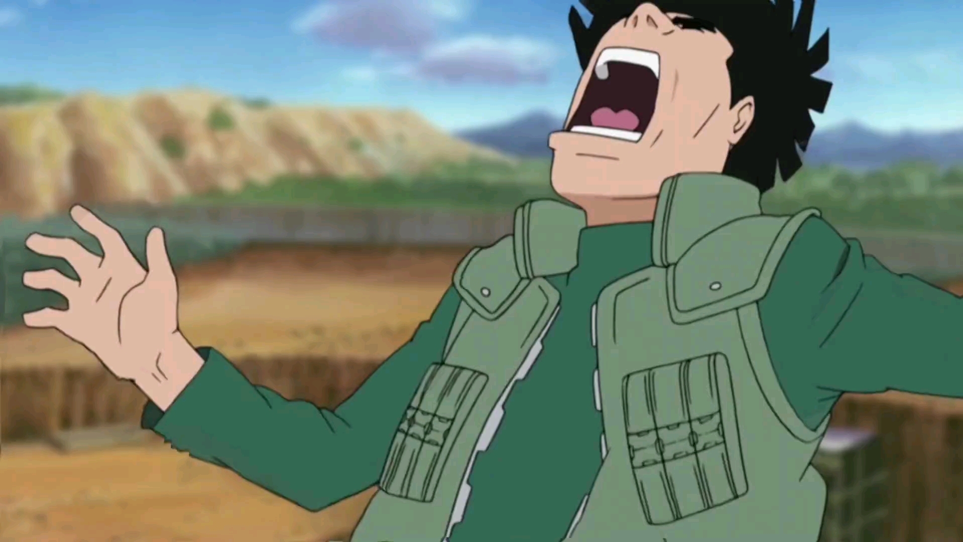 卡卡西和迈特凯