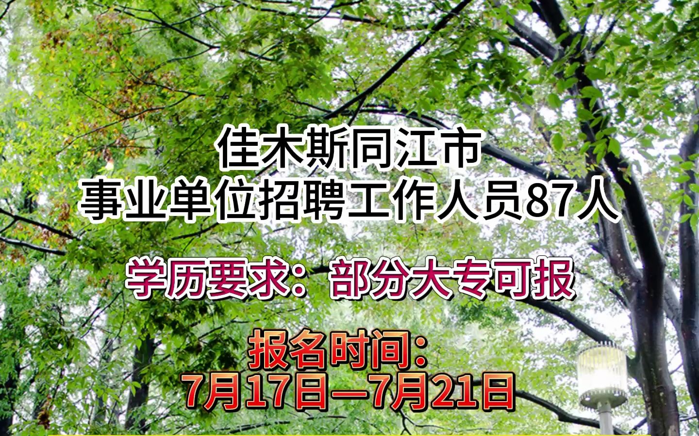 佳木斯同江市事业单位招聘工作人员87人!哔哩哔哩bilibili