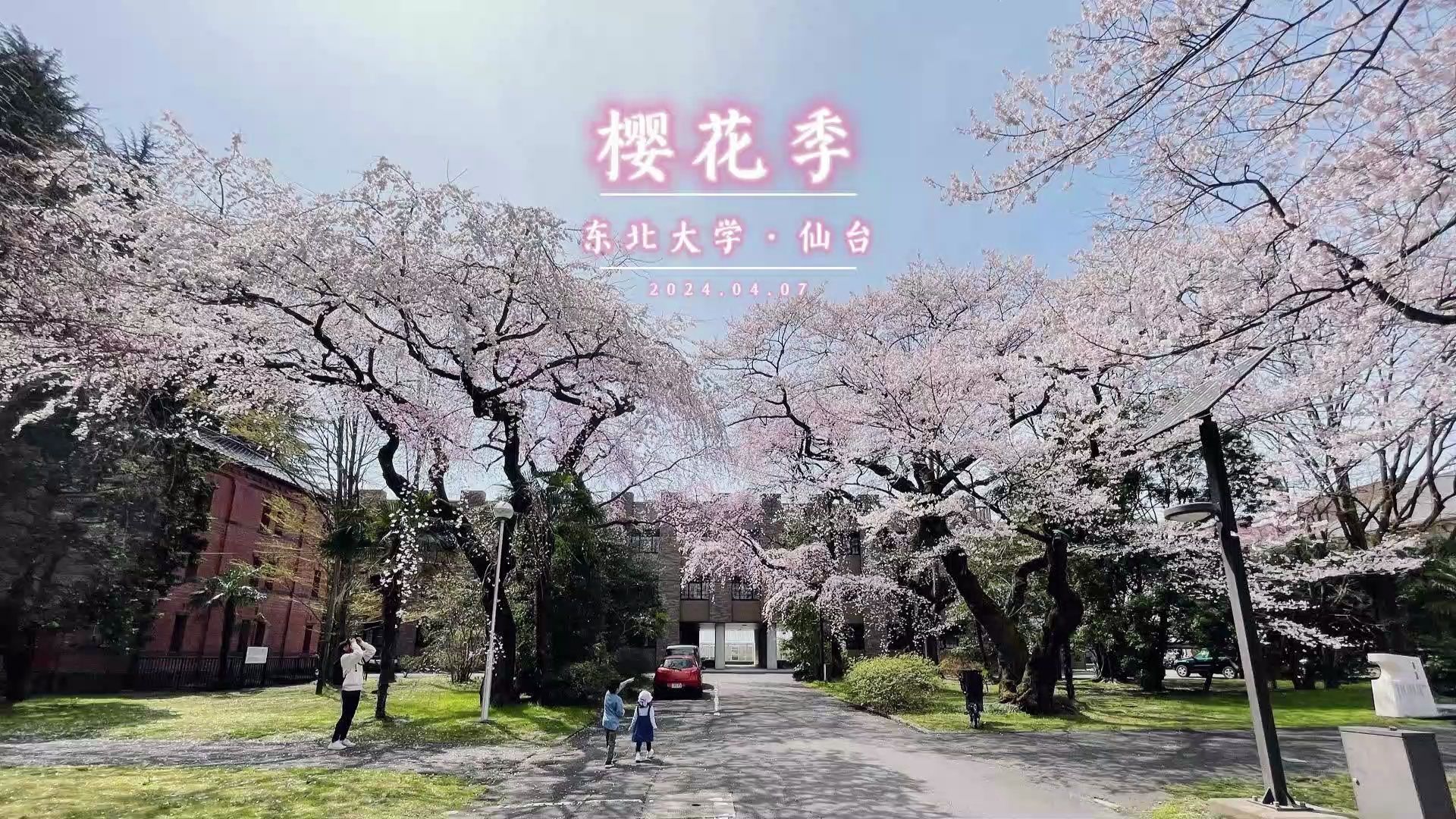 04.07 赏樱·东北大学·仙台