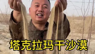 就是这样的肉苁蓉给治沙人带来了收入，让更多的沙漠变成了绿洲