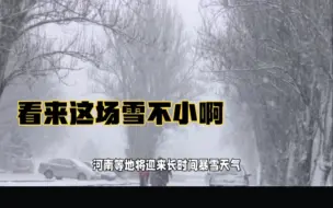 Download Video: 看来这场雪不小啊