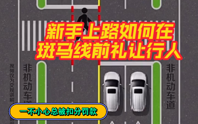 新手上路如何在斑马线前正确礼让行人?很多新手总是一不小心就被扣分罚款!哔哩哔哩bilibili