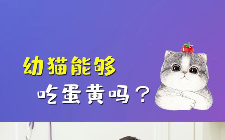 猫咪吃蛋黄竟有这样的好处,你知道吗?#营养健康#科学养宠攻略#铲屎官哔哩哔哩bilibili