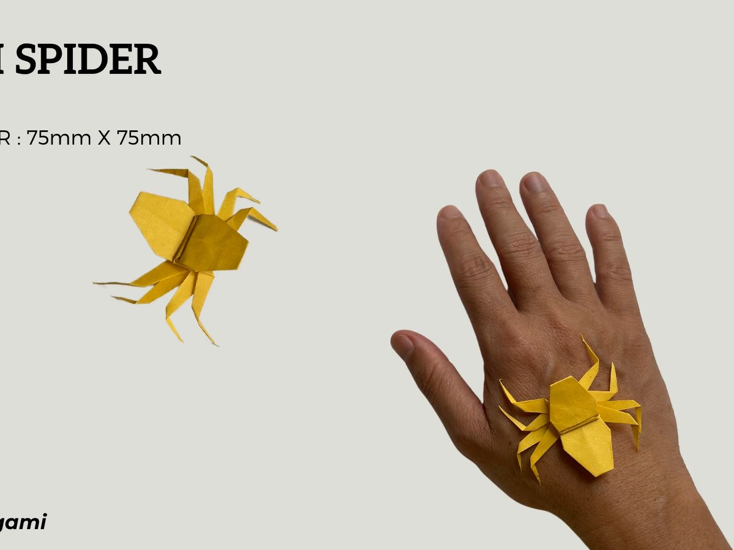【yellow paper origami】蜘蛛折纸教程 how to make origami spider