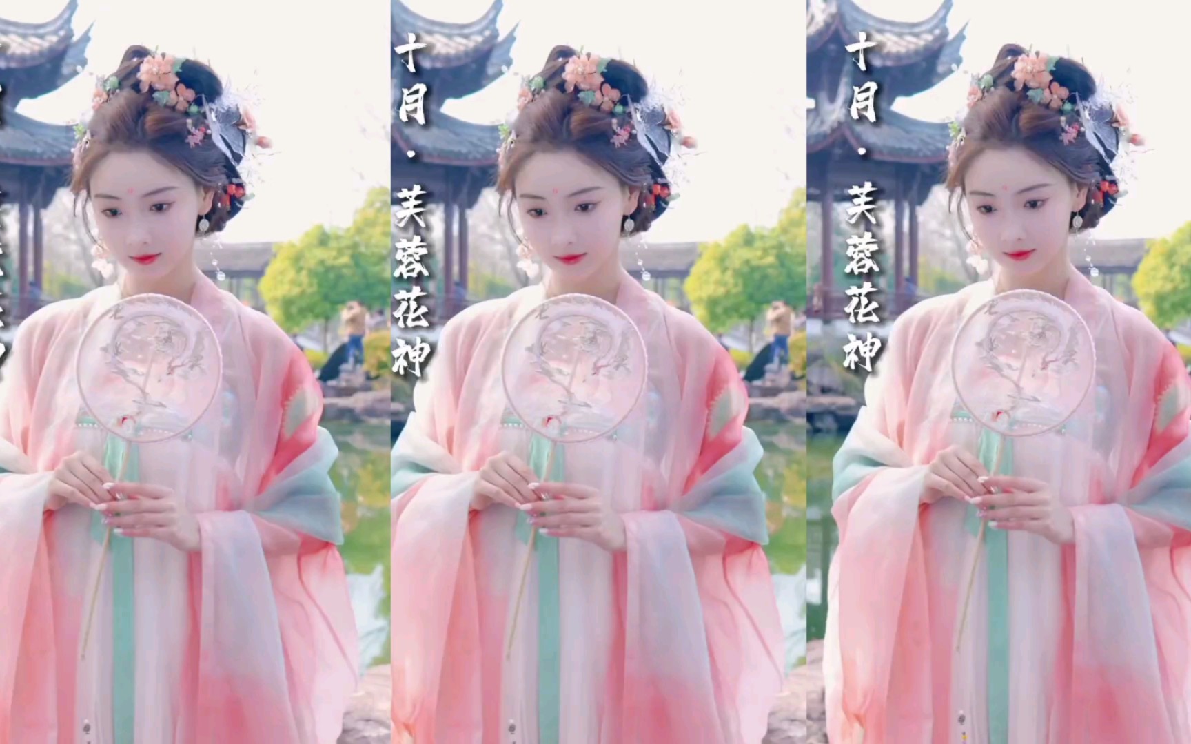 【十二花神】绝美古风!