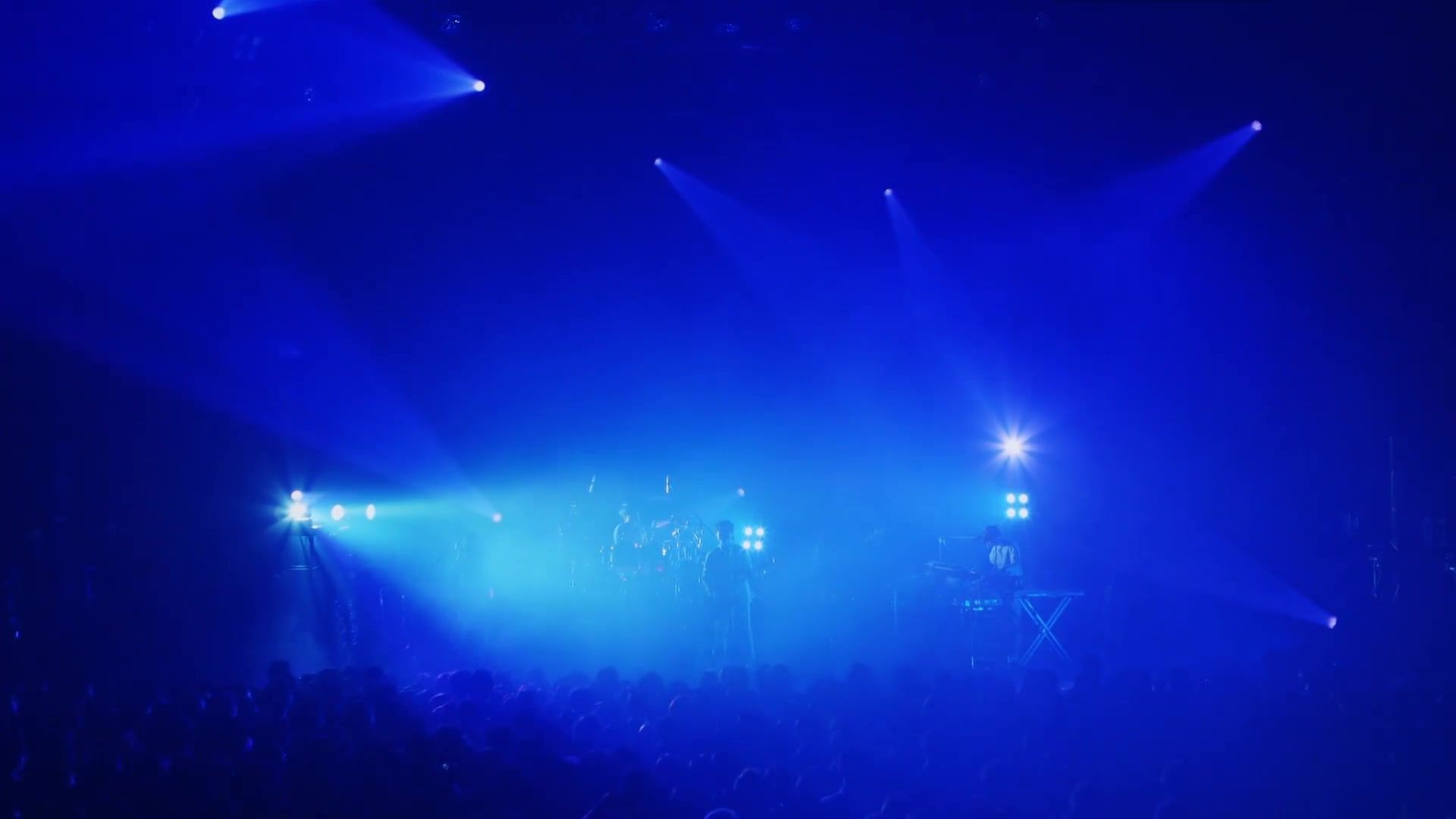 【纯享音频/鱼韵】サカナクション——サンプル（Sample）2014 -LIVE at TOKYO DOME CITY HALL