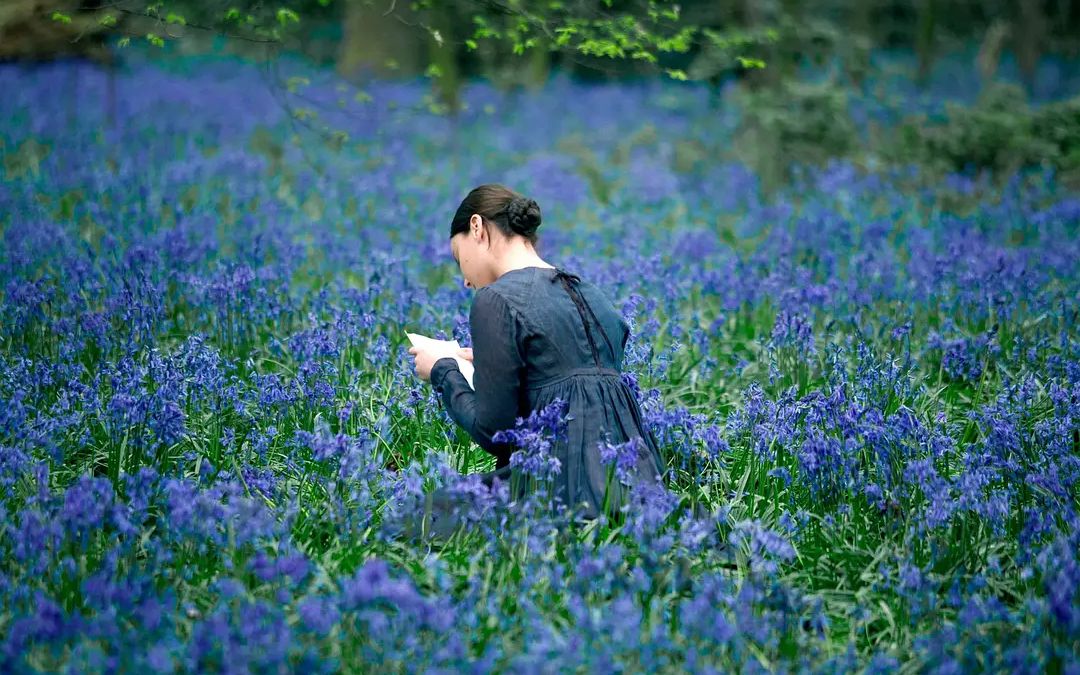 [图]【鲜花电影群像】夏天会过去，但浪漫不会！