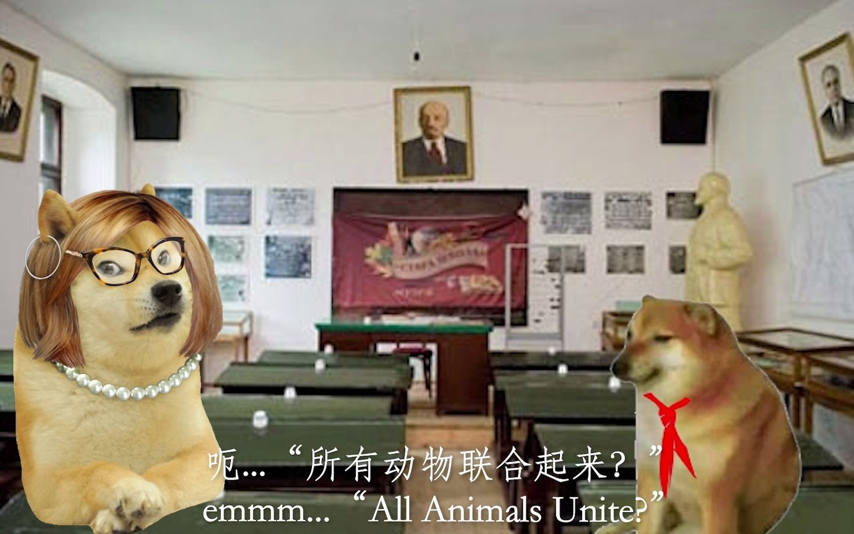 一只苏维埃cheems的一生