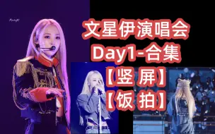 Скачать видео: [演唱会] Day1_全场饭拍【竖屏】_文星伊solo巡演_首尔场day1