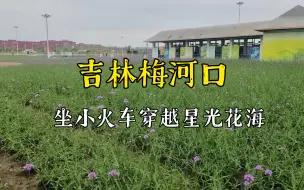 Télécharger la video: 在吉林梅河口坐着小火车看星光花海