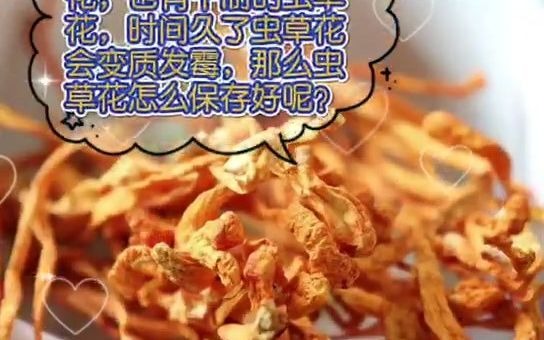 蛹虫草和虫草花的区别在哪?看完它,你就明白了!哔哩哔哩bilibili