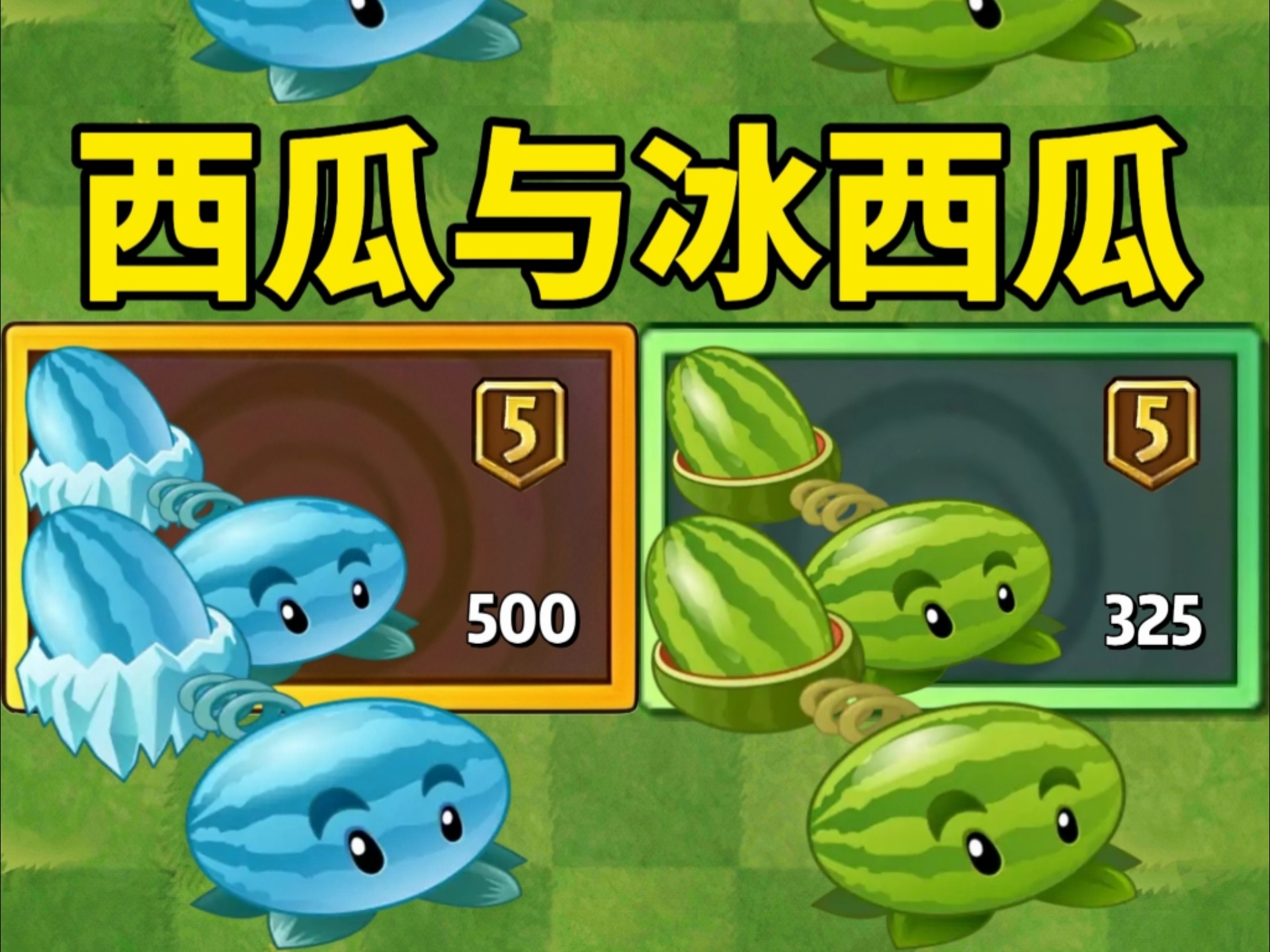 西瓜投手与冰西瓜投手测评