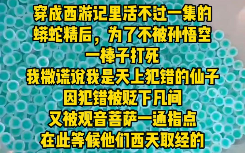 《卷卷小蛇》穿成西游记里活不过一集的蟒蛇精后,为了不被孙悟空一棒子打死,我撒谎说我是天上犯错的仙子,因犯错被贬下凡间,被观音菩萨指点在此等...