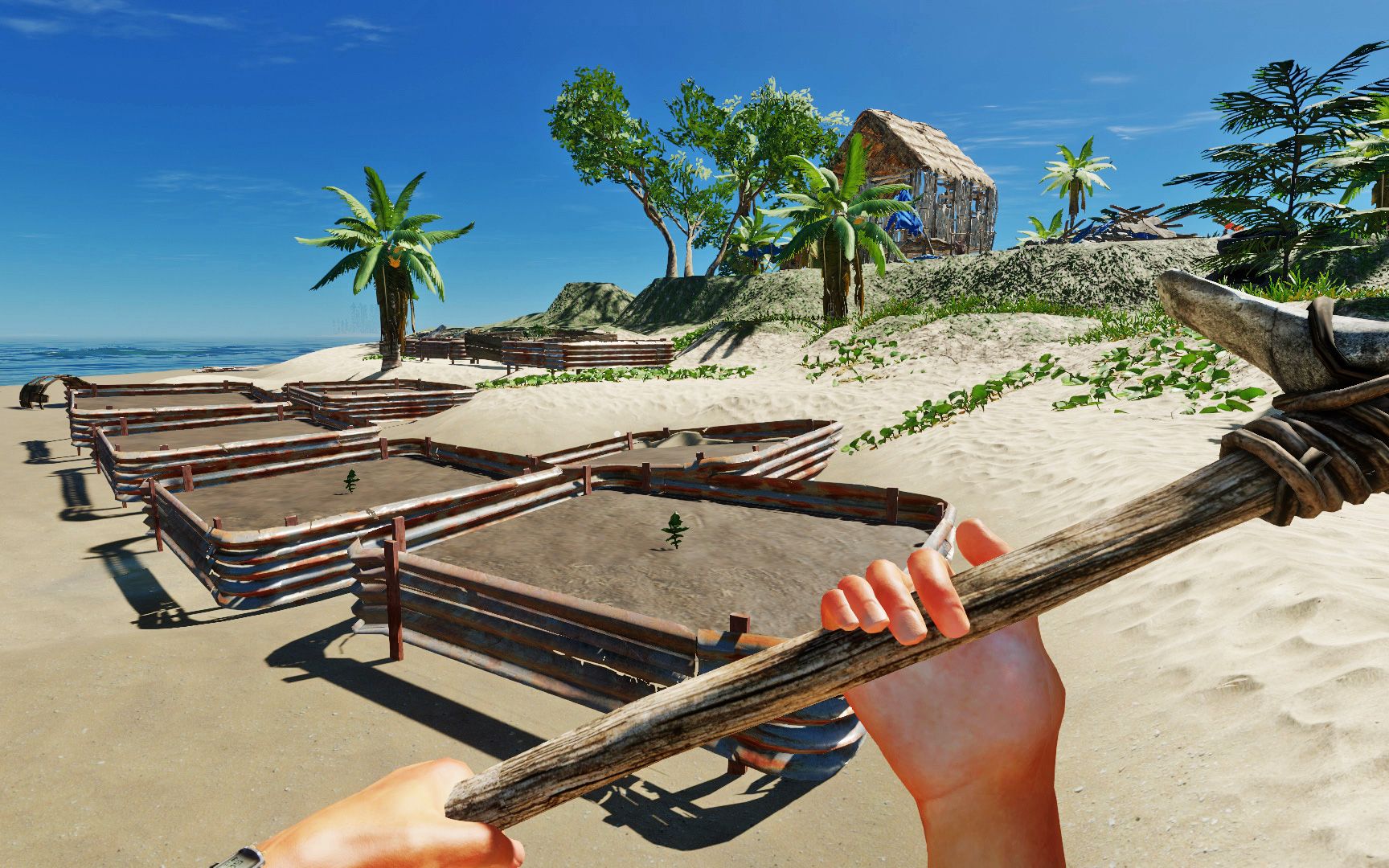 荒岛求生42我横跨海域返回幸运岛又开垦了7块田