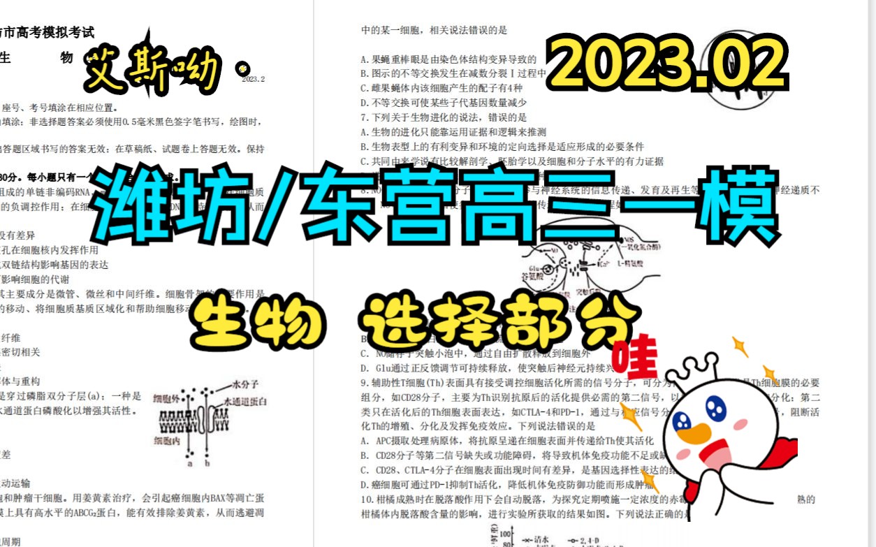 2023年2月潍坊/东营高三一模生物(高考模拟)详细讲解【选择部分】【逐题讲解】【高考模拟】【艾斯呦丶】新高考【免费网课】【逐题讲解】哔哩哔哩...