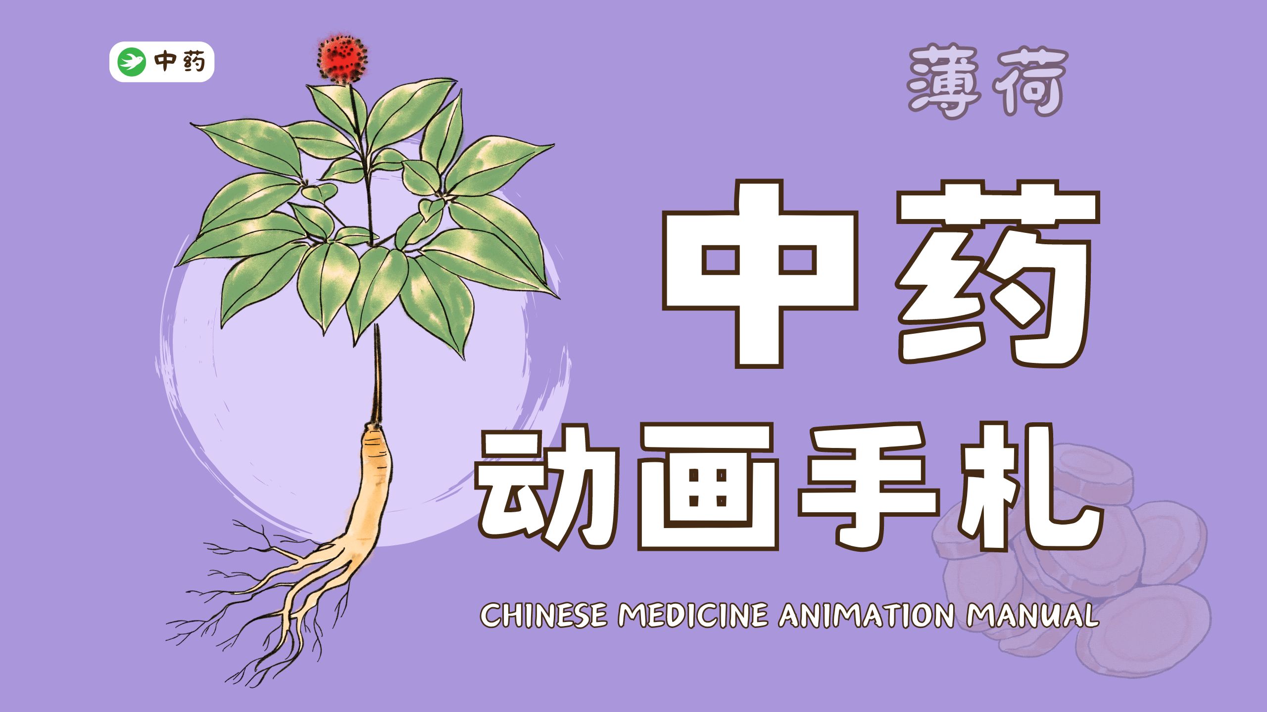 【耿小直】中药动画手札 | 薄荷