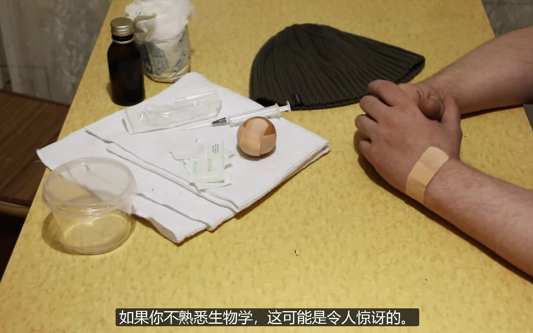 俄罗斯炼金术师小矮人实验