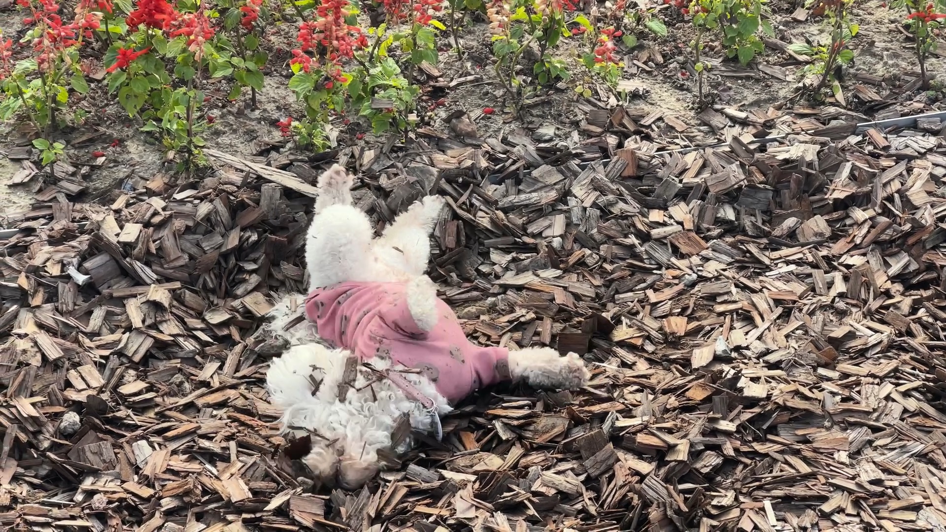 来根华子,缓解一下.