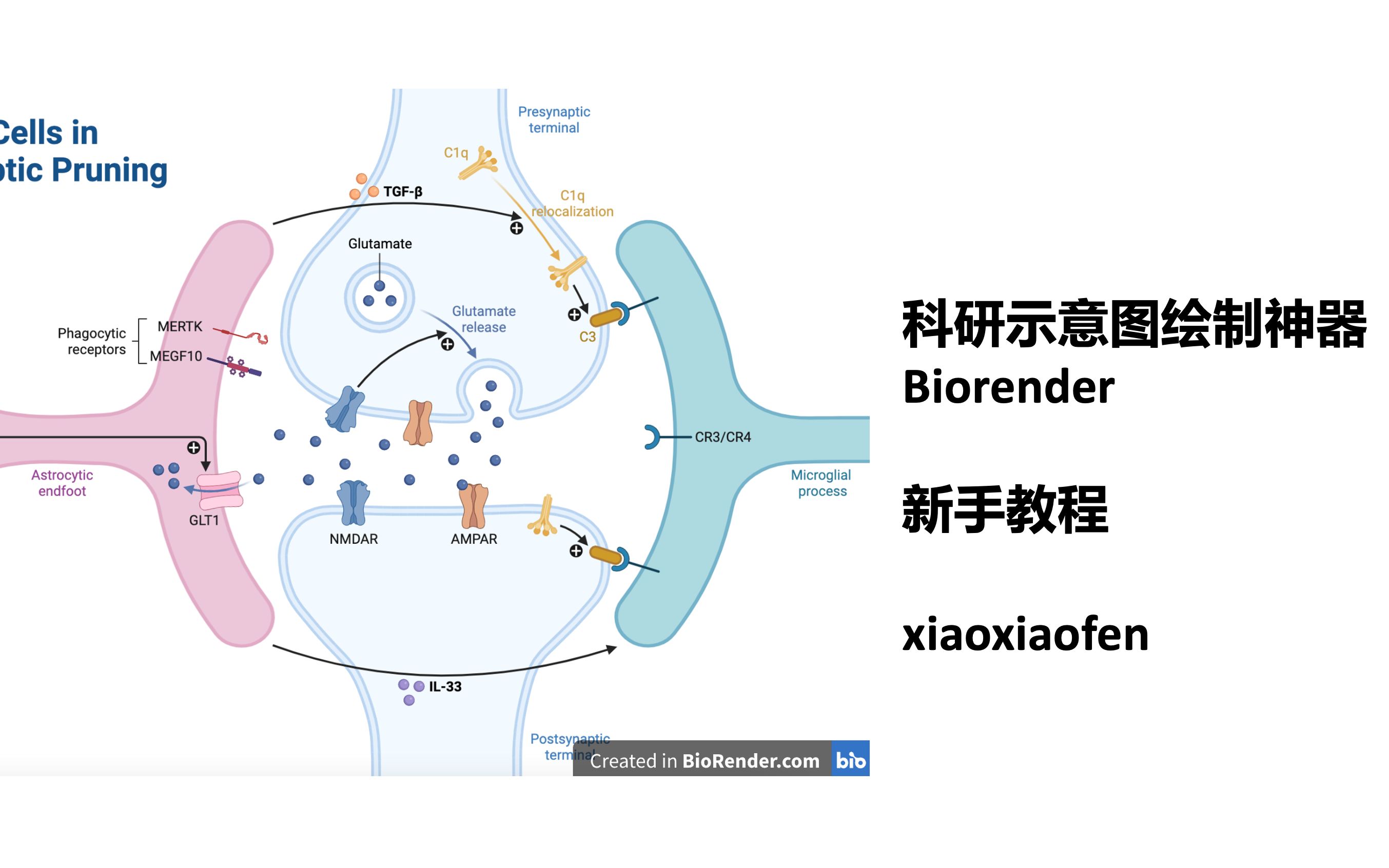 Biorender 科研示意图绘制软件 新手教程(1) get started哔哩哔哩bilibili