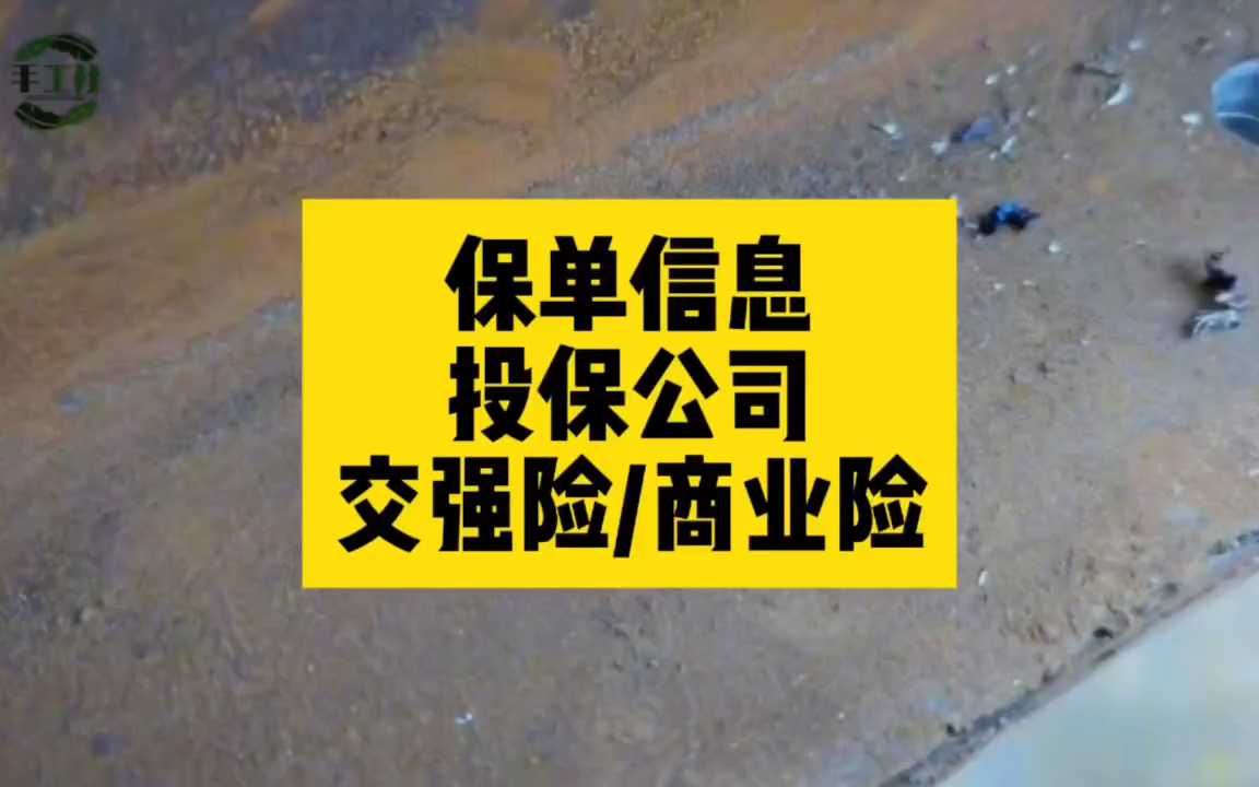 忘记投保公司怎么办?如何查交强险在哪家保险买的哔哩哔哩bilibili