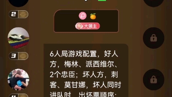 阿瓦隆六人局分享~哔哩哔哩bilibili