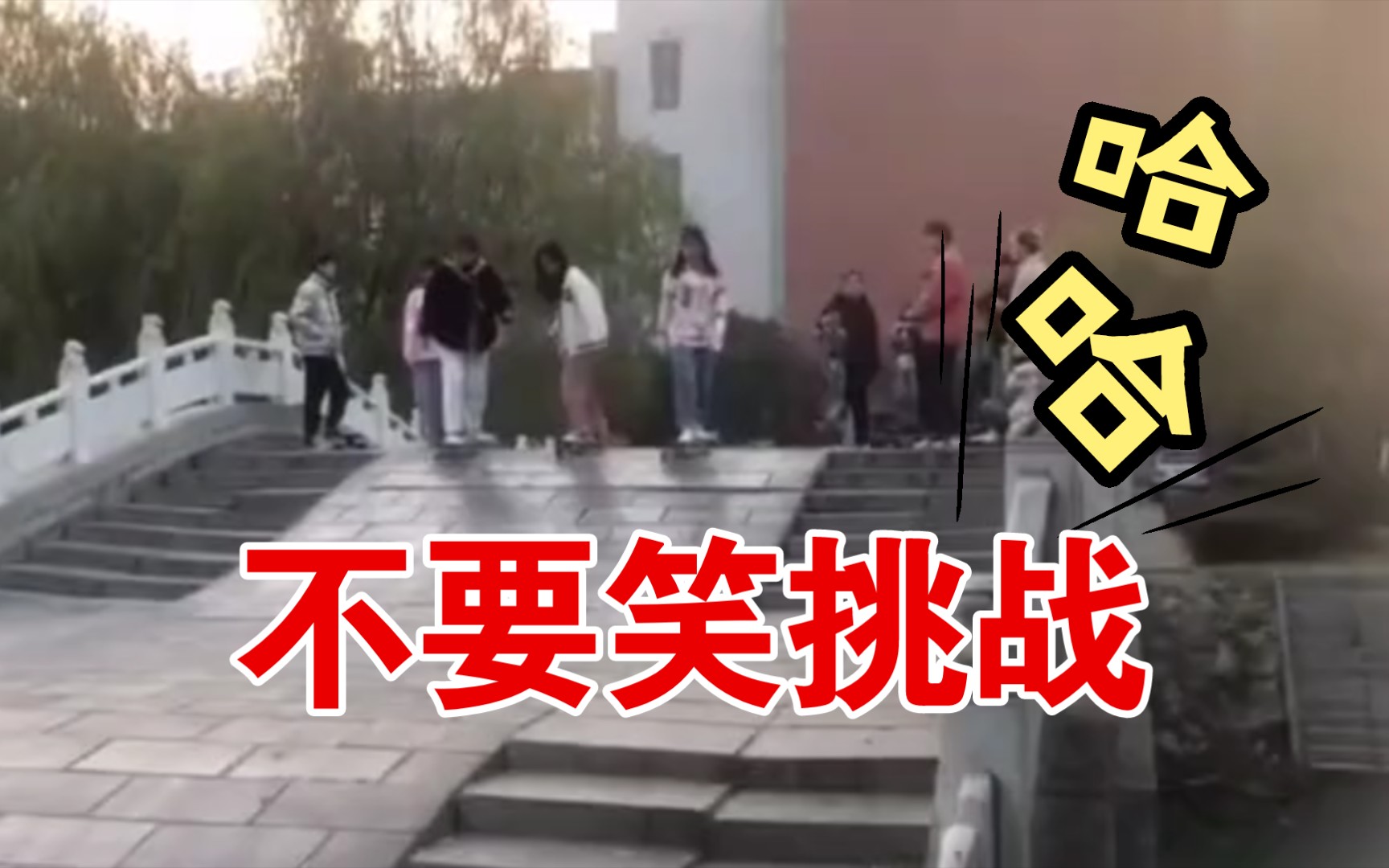 [图]年度搞笑视频合集