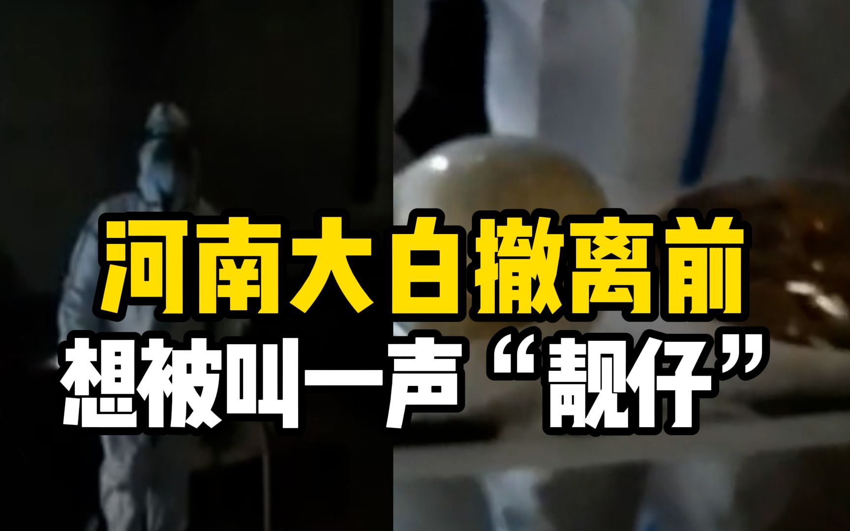 河南志愿者大白撤离前想被叫一声“靓仔”,深圳大姐暖心满足哔哩哔哩bilibili