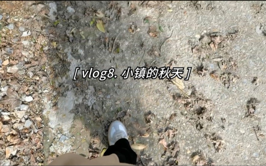 [图]vlog8 小镇的秋天