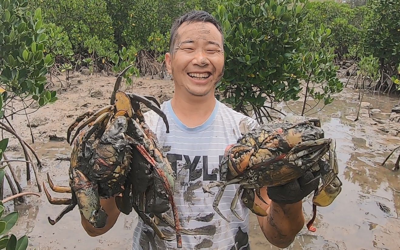 玉平来红树林闷声抓大螃蟹,连抓到几只大螃蟹,看着好过瘾哔哩哔哩bilibili