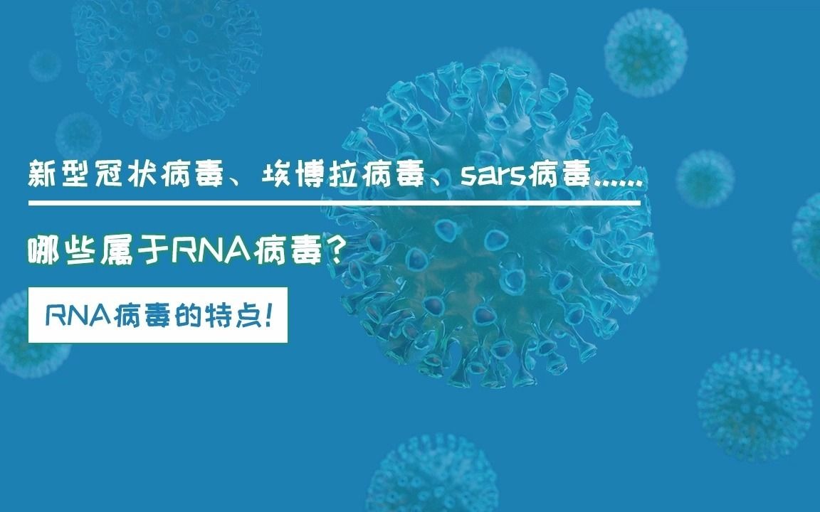 第二期:哪些病毒属于RNA病毒,RNA病毒的特点哔哩哔哩bilibili