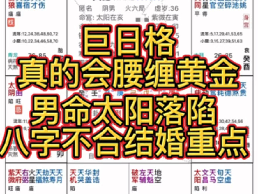 紫薇斗数之天纪案例55集巨日汇命给到男命的表现哔哩哔哩bilibili