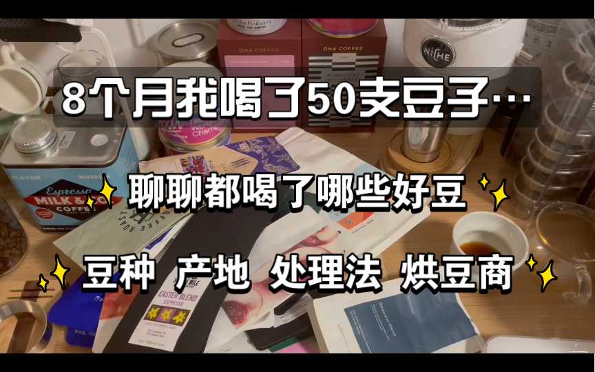 8个月我喝了50支豆子…年中总结|第一集哔哩哔哩bilibili