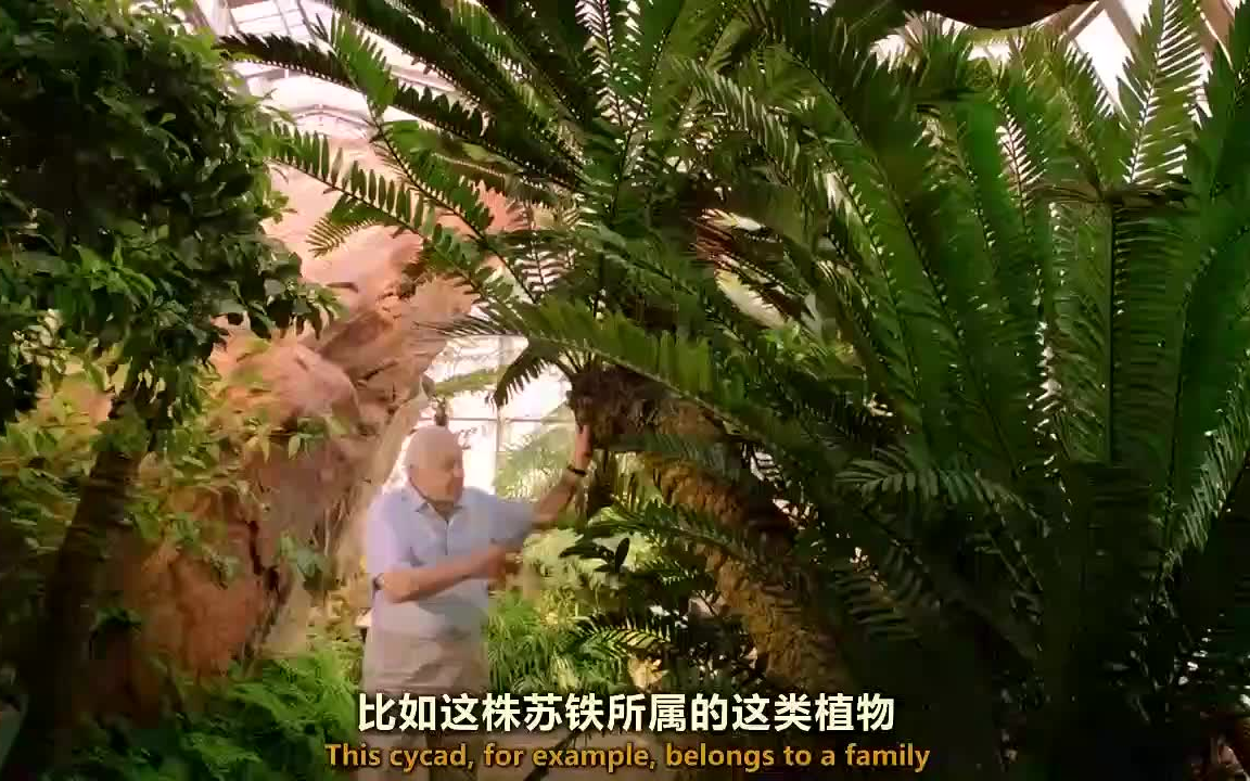 [图]自然 | 植物王国 1