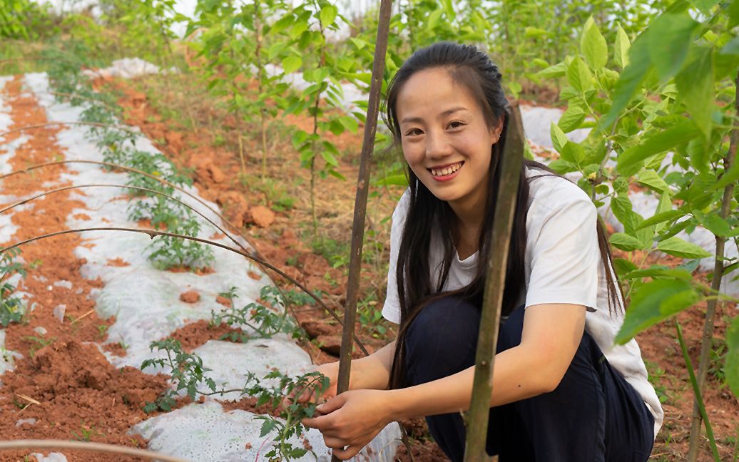 [图]种瓜得瓜种豆得豆，这种地瓜能生吃，小妹这样种植能活吗？